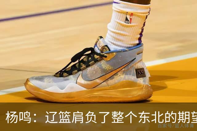 杨鸣：辽篮肩负了整个东北的期望 感谢球迷